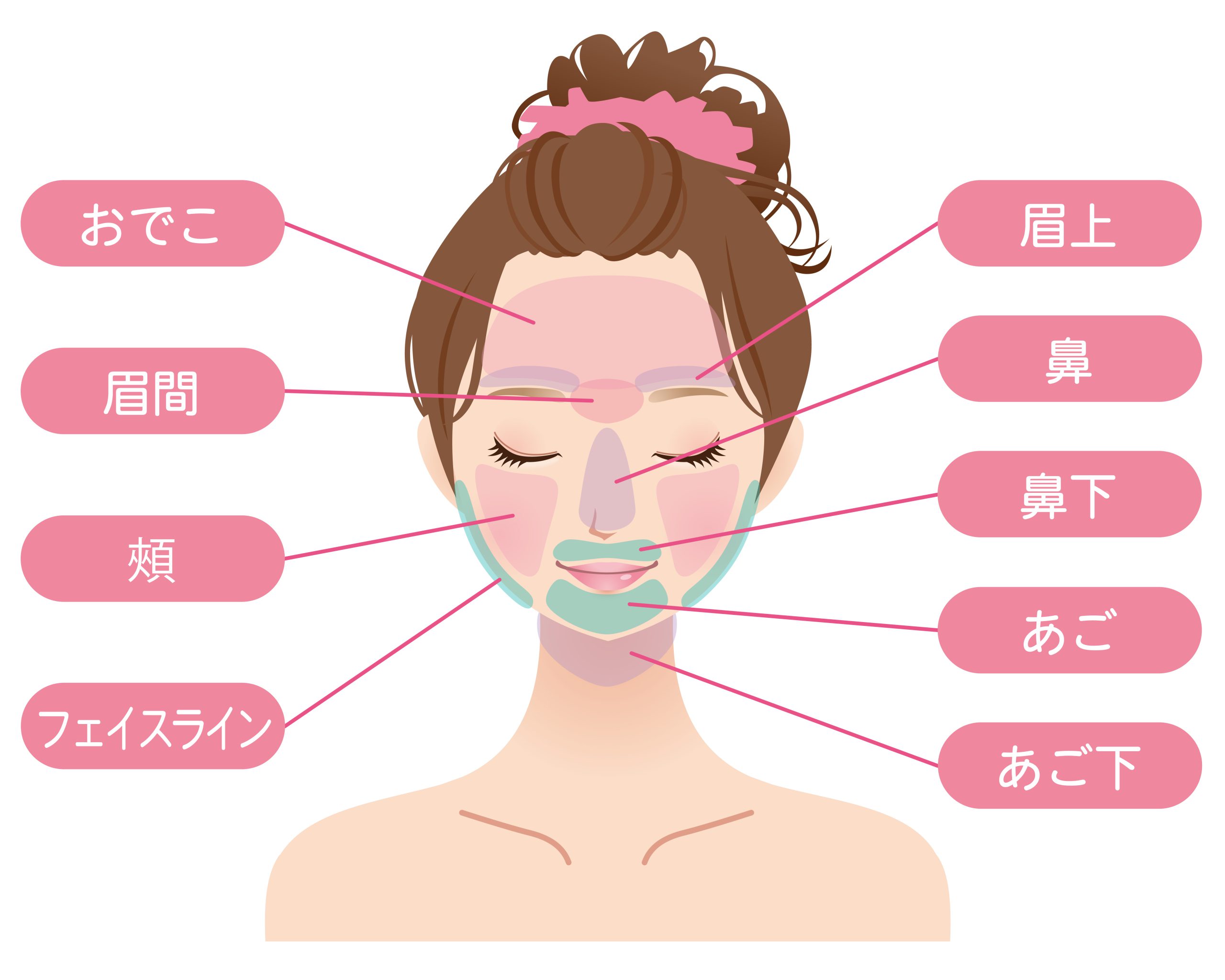 女性 美容 フェイス脱毛箇所