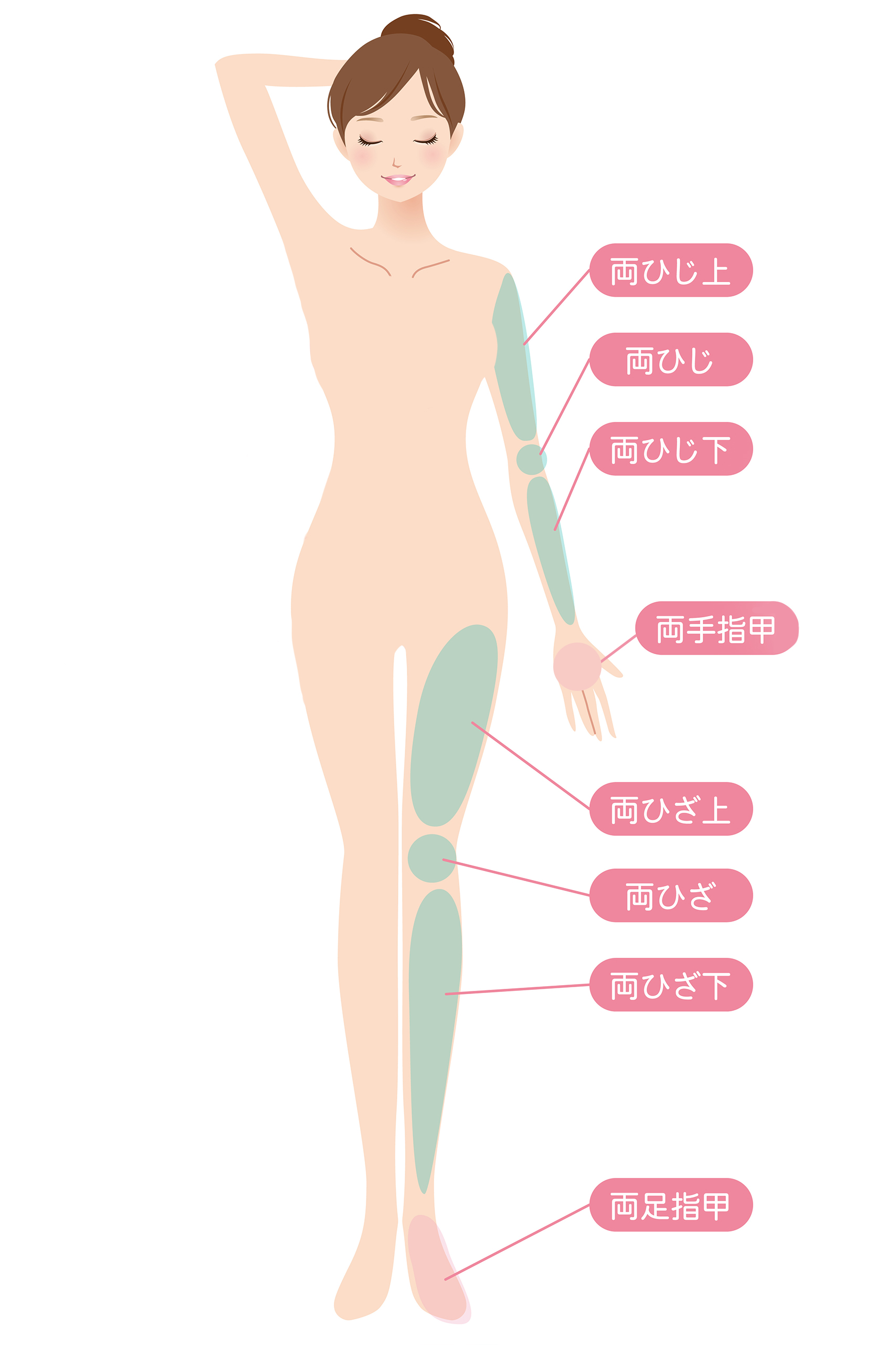body 両腕両脚