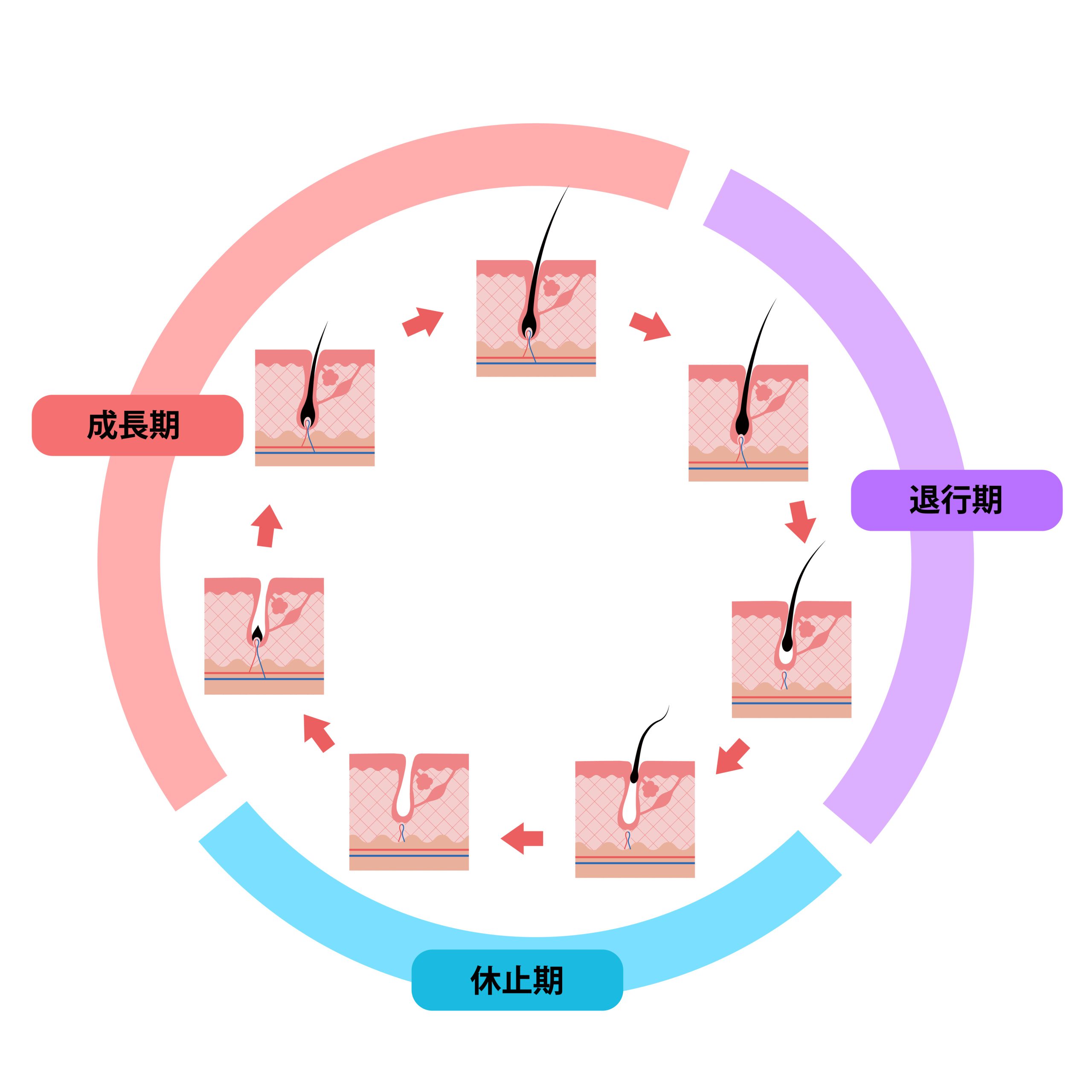 ご来店頻度